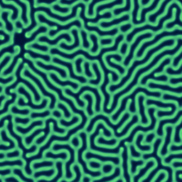Reaction-diffusion coral pattern